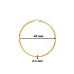 Boucles d’oreilles créoles Femme Or jaune 750/1000 ROBBEZ MASSON, dimensions