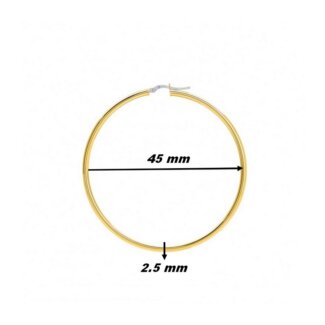 Boucles d’oreilles créoles Femme Or jaune 750/1000 ROBBEZ MASSON, dimensions