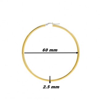 Boucles d’oreilles créoles Femme Or jaune 750/1000 ROBBEZ MASSON, dimensions