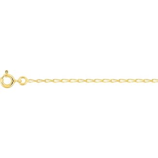 Chaîne maille cheval Or jaune 750/1000 ROBBEZ MASSON