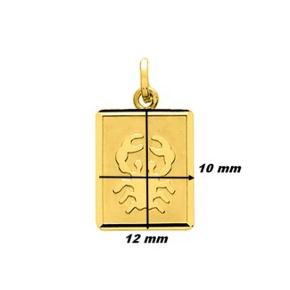 Pendentif Zodiaque Cancer Or jaune 750/1000 ROBBEZ MASSON, dimensions