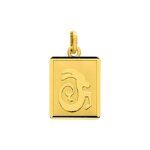 Pendentif Zodiaque Capricorne Or jaune 750/1000 ROBBEZ MASSON