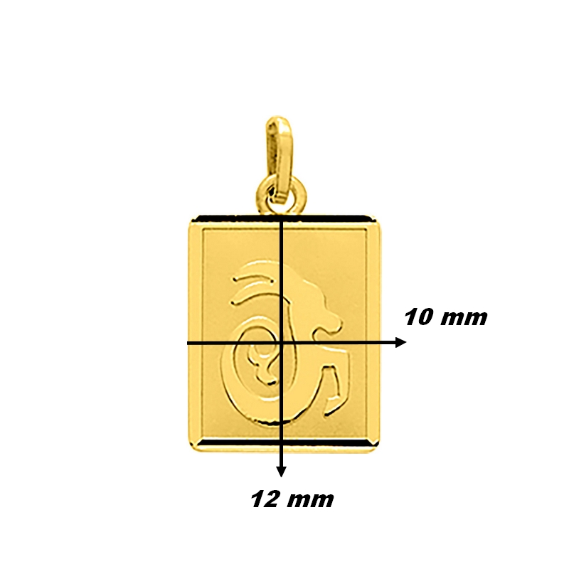 Pendentif Zodiaque Capricorne Or jaune 750/1000 ROBBEZ MASSON, dimensions
