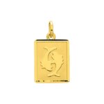 Pendentif Zodiaque Poissons Or jaune 750/1000 ROBBEZ MASSON