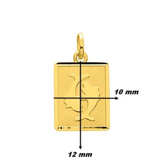 Pendentif Zodiaque Poissons Or jaune 750/1000 ROBBEZ MASSON, dimensions