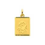 Pendentif Zodiaque Scorpion Or jaune 750/1000 ROBBEZ MASSON