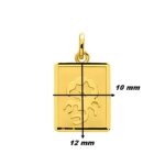 Pendentif Zodiaque Scorpion Or jaune 750/1000 ROBBEZ MASSON, dimensions