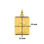 Pendentif Zodiaque Verseau Or jaune 750/1000 ROBBEZ MASSON, dimensions