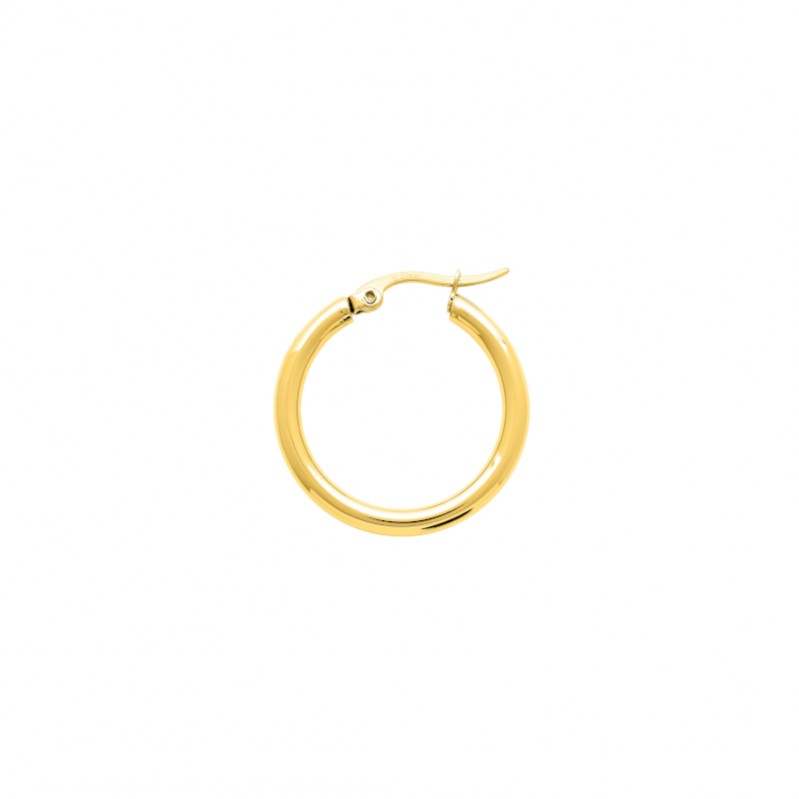 Boucles d’oreilles créoles Femme Acier inoxydable doré ROBBEZ MASSON