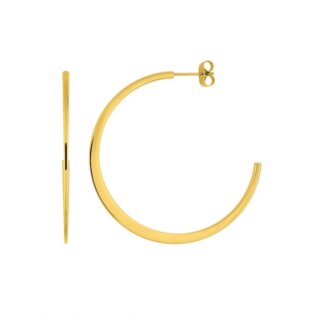 Boucles d’oreilles demi créoles Femme Acier inoxydable doré ROBBEZ MASSON