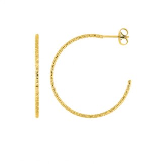 Boucles d’oreilles demi créoles Femme Acier inoxydable doré ROBBEZ MASSON