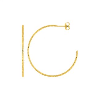 Boucles d’oreilles demi créoles Femme Acier inoxydable doré ROBBEZ MASSON