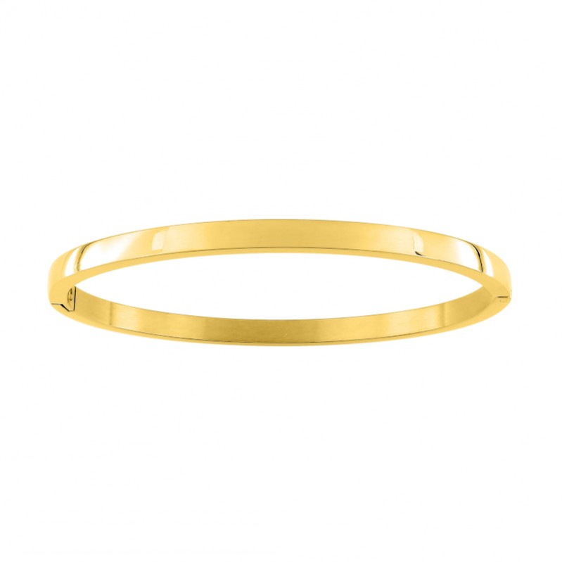 bracelet-jonc-femme-acier-doré-robbez-masson-433690 Bracelet jonc Femme Acier inoxydable doré ROBBEZ MASSON