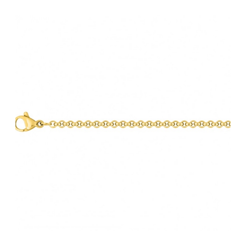 Chaîne Femme Acier inoxydable doré ROBBEZ MASSON