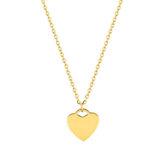 Collier Cœur Femme Acier inoxydable doré ROBBEZ MASSON