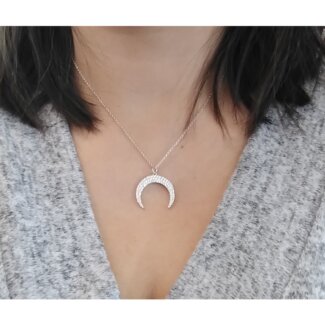 Collier Corne Femme Argent 925/1000 et Oxydes de zirconium LOTUS LP1961-1/1 porté