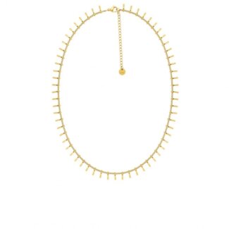 Collier Femme Acier inoxydable ROBBEZ MASSON