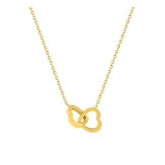 Collier double Cœur Femme Acier inoxydable ROBBEZ MASSON