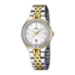 Montre Femme Acier inoxydable bicolore FESTINA F16868/1
