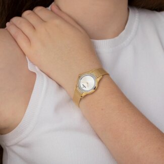Montre Femme Acier inoxydable bicolore FESTINA F20495/1 portée