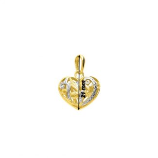 Pendentif Femme Cœur Or jaune 750/1000 et Rhodium ROBBEZ MASSON, longueur