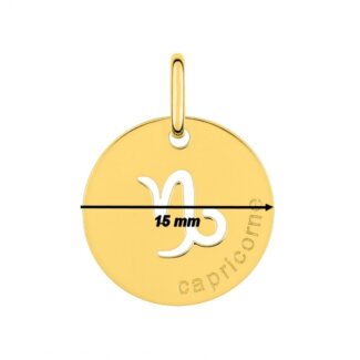 Médaille zodiaque Capricorne Plaqué Or ROBBEZ MASSON, diamètre