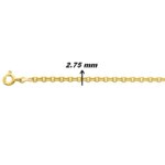 Chaîne maille Forçat ronde Plaqué Or ROBBEZ MASSON, largeur